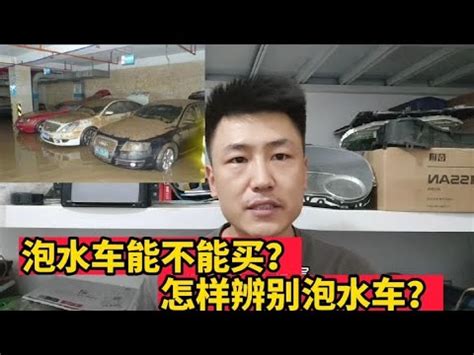 忌車怕水 意思|《生肖姓名學》